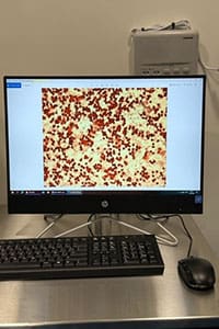 A computer monitor with a picture of red and white spots on it.