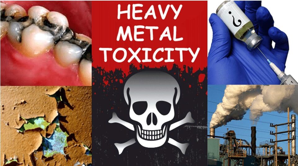 A collage of various images with the words heavy metal toxicity.
